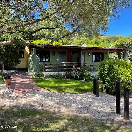 Les Bungalows De Figha Tarcu Екстериор снимка