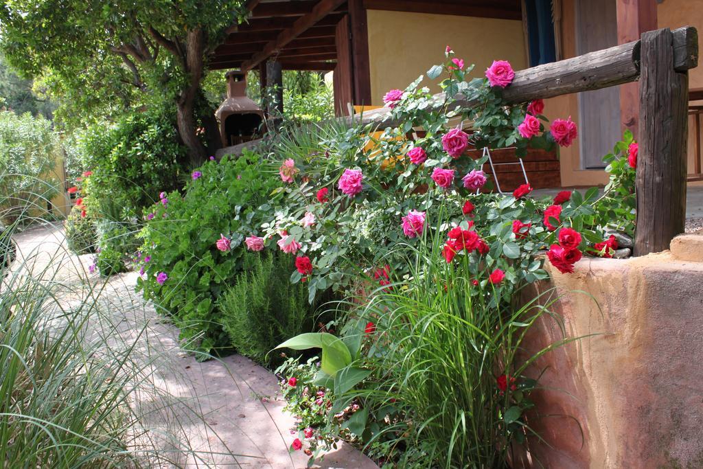 Les Bungalows De Figha Tarcu Екстериор снимка