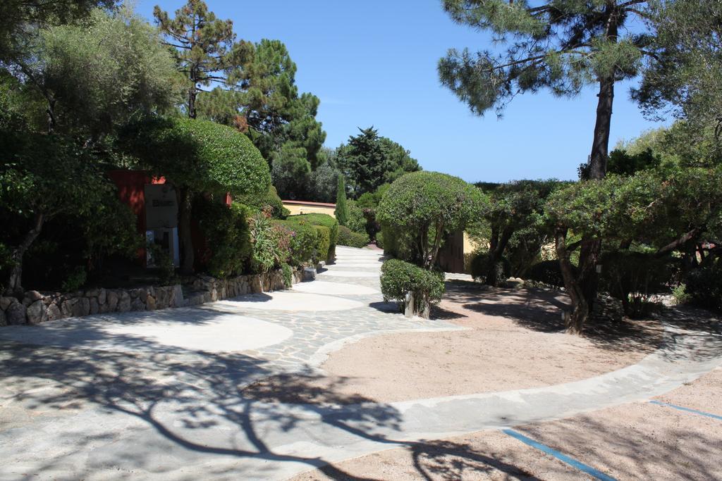 Les Bungalows De Figha Tarcu Екстериор снимка